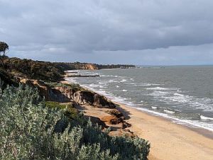 Port Phillip Bay coast near Beaumaris