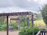 IMG 20260801 1